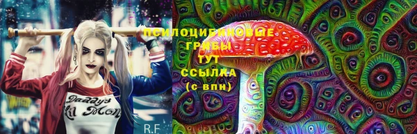 ECSTASY Арсеньев