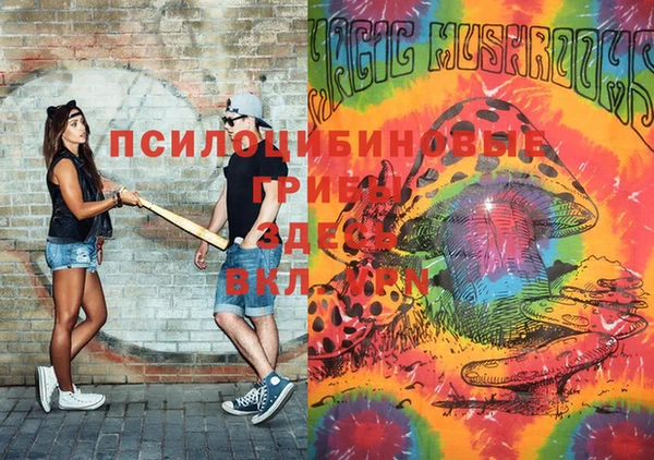 2c-b Зеленокумск