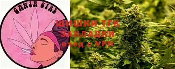 ECSTASY Армянск