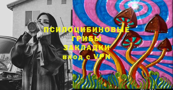ECSTASY Армянск
