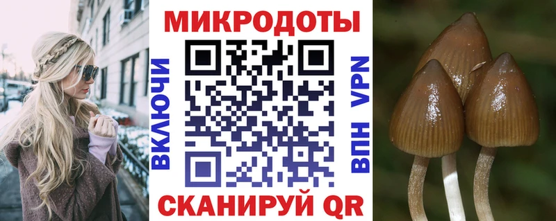 Галлюциногенные грибы мухоморы  где найти   hydra как зайти  Бор 