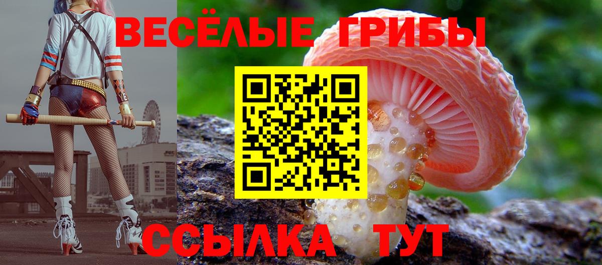 Галлюциногенные грибы прущие грибы  Вход с VPN  Псилоцибиновые грибы ЛСД  Бор 